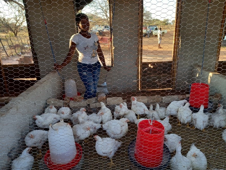 Hope lies in DREAMS.